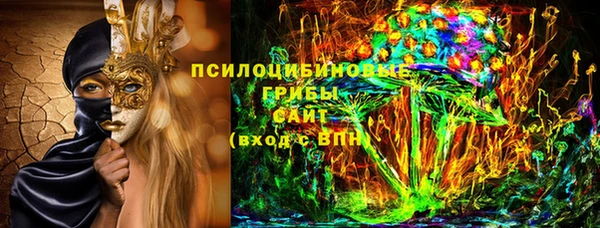 ПСИЛОЦИБИНОВЫЕ ГРИБЫ Арсеньев