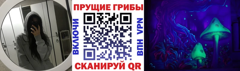 Псилоцибиновые грибы MAGIC MUSHROOMS  kraken ONION  Черняховск 